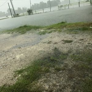 Meet your Posher, Luis